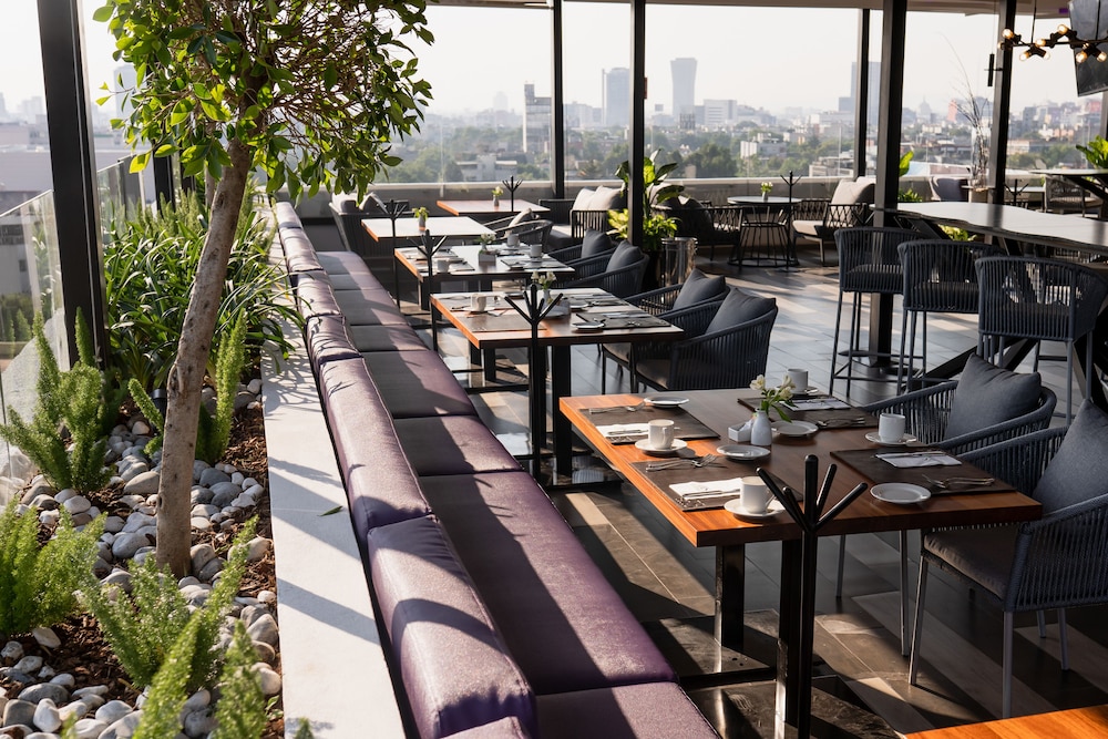 HS HOTSSON Hotel CDMX Condesa Sur 32/50