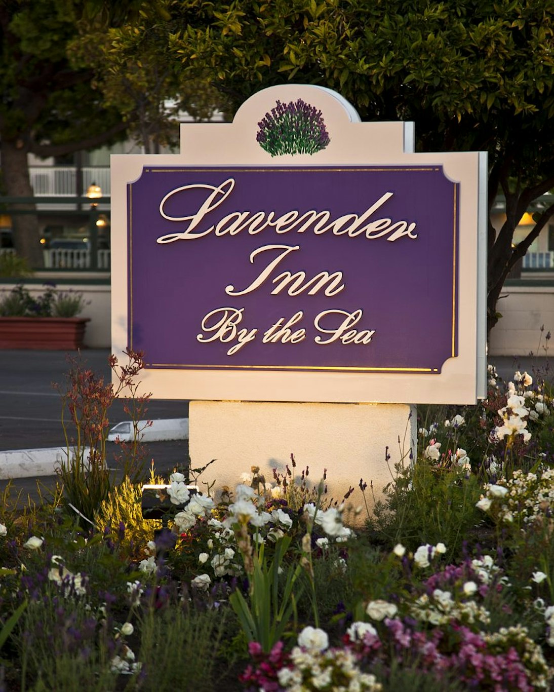 Lavender Inn By The Sea 2/45