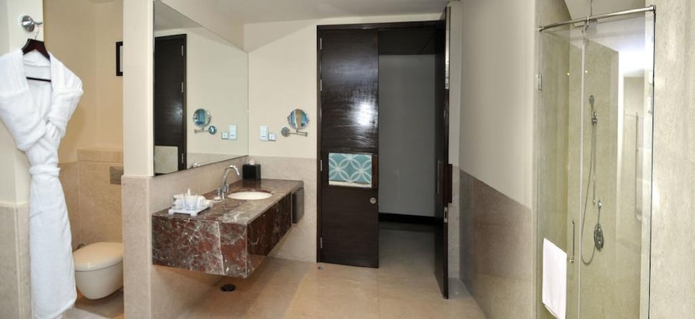 Radisson Blu Plaza Hotel Mysore 71/72