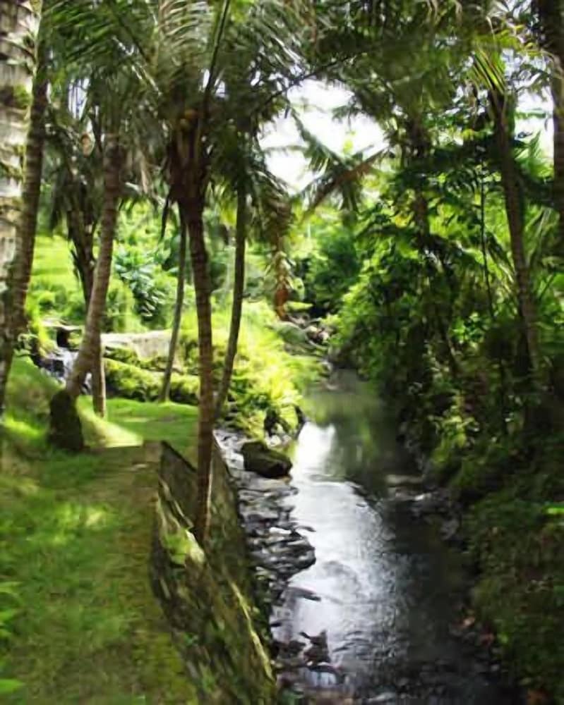 The Bali Purnati Center For The Arts - Adults Only 32/50