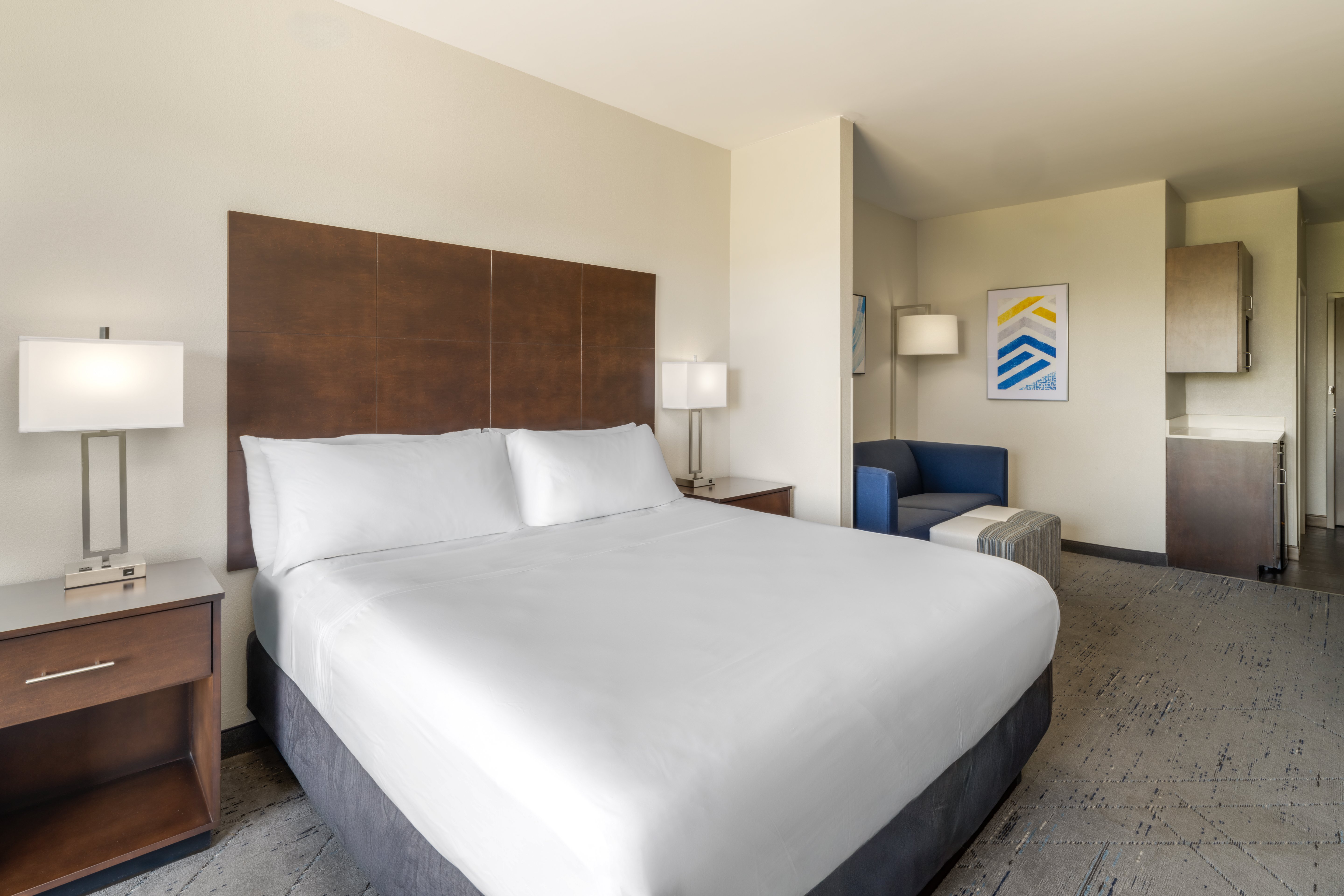 Holiday Inn Express And Suites Aiken 20/50