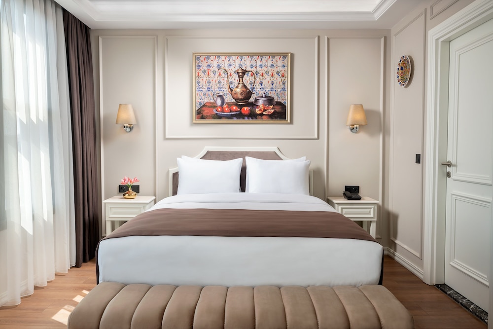 Royan Hotel Hagia Sophia Istanbul, A Member of Radisson Individuals 11/50
