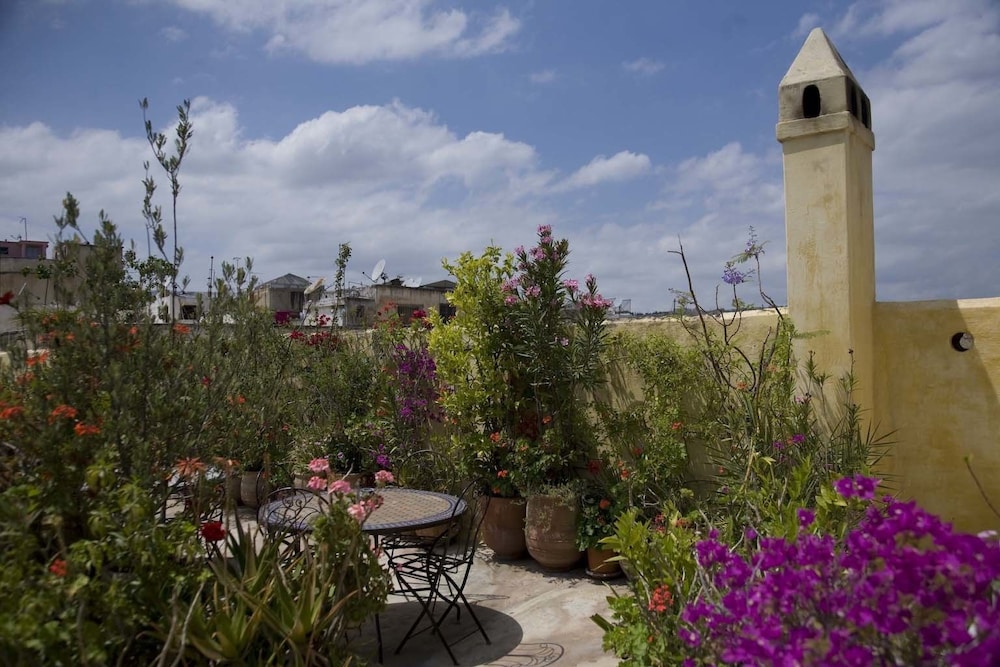 Riad Al Bartal 41/50