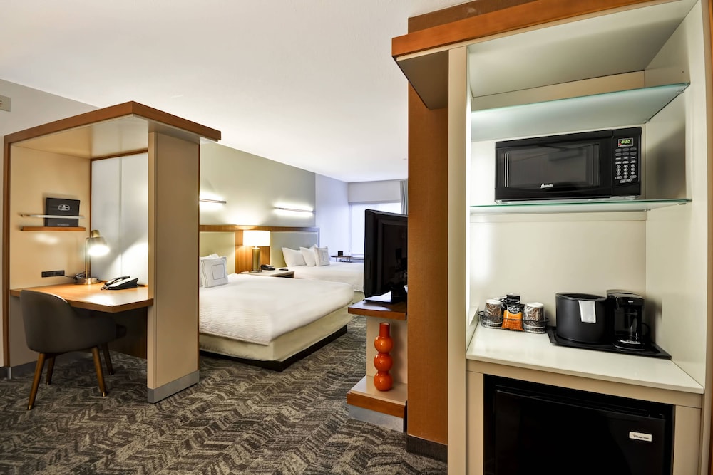 Springhill Suites Tallahassee Central 15/46