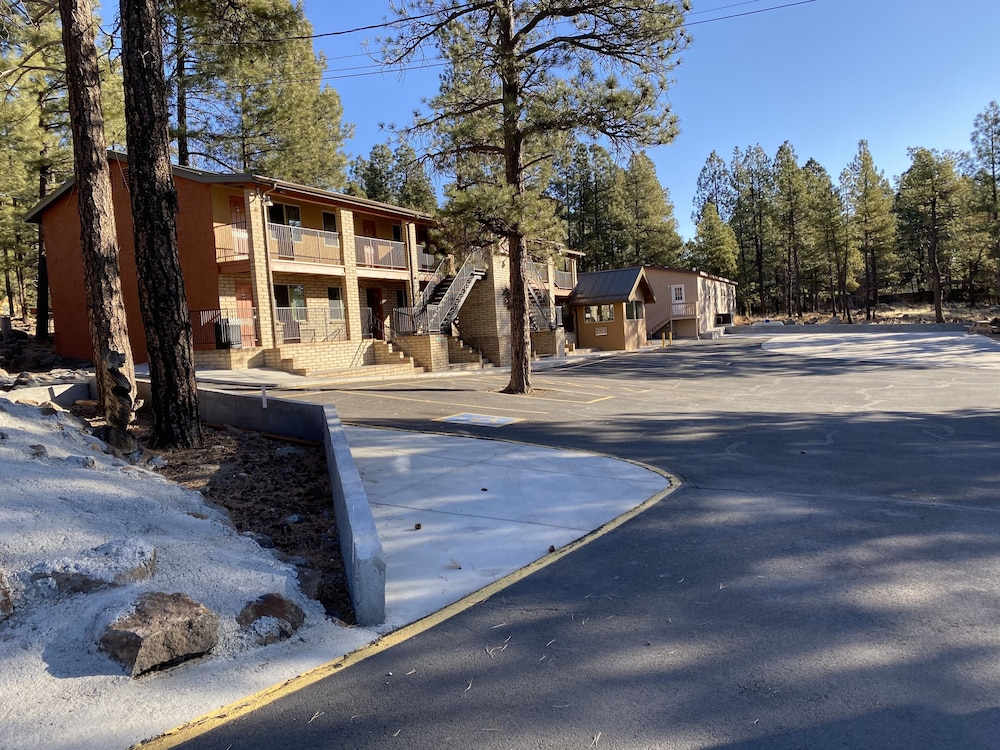 Motel In The Pines 20/41