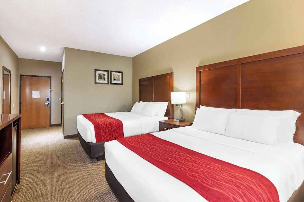Room, Single, 2 Queen Beds