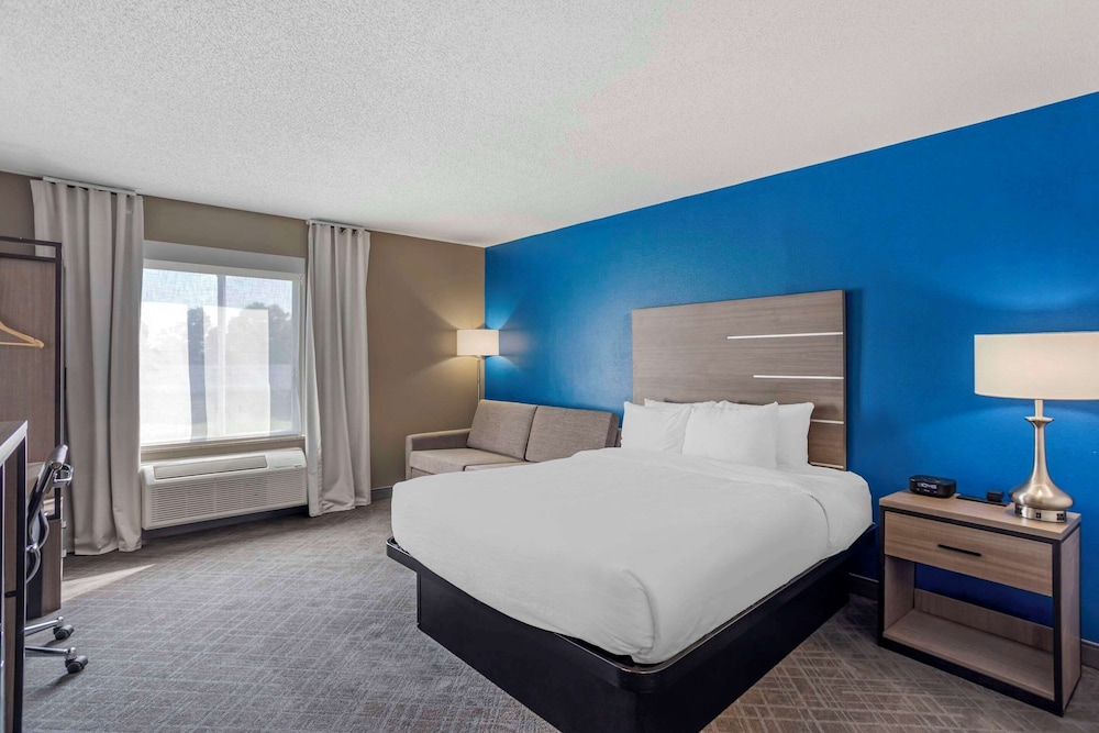 ROOM, KING BED, ACCESSIBLE