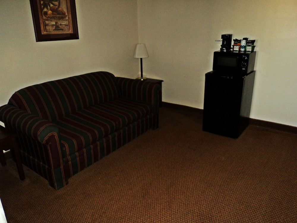 Travelodge by Wyndham Carlsbad NM 22/41