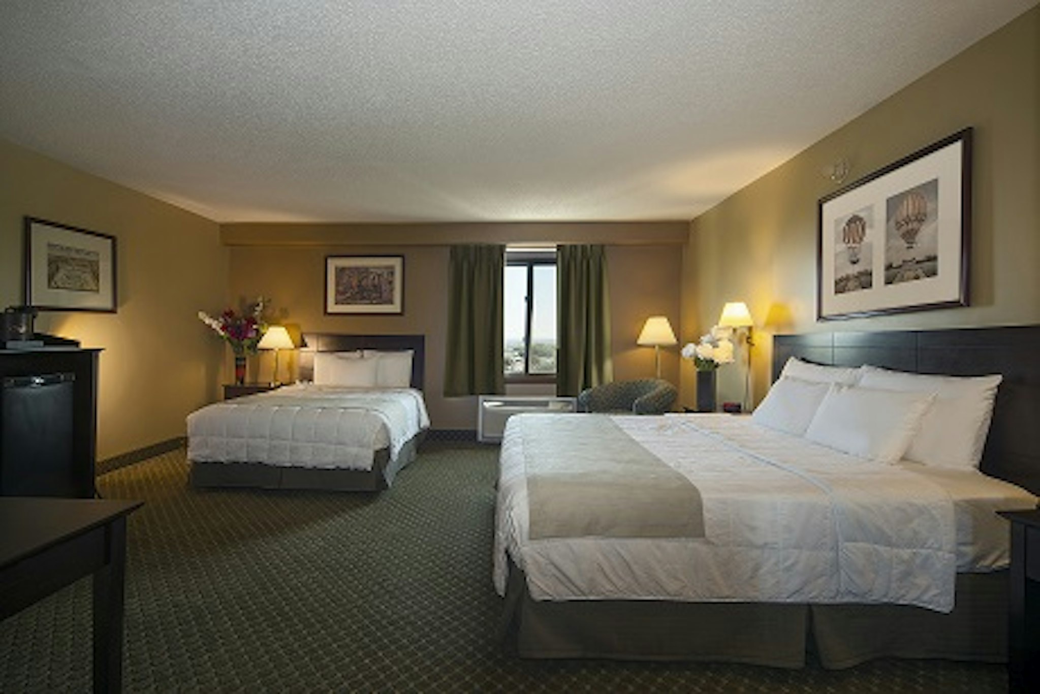 Meadowlands Plaza Hotel 17/57
