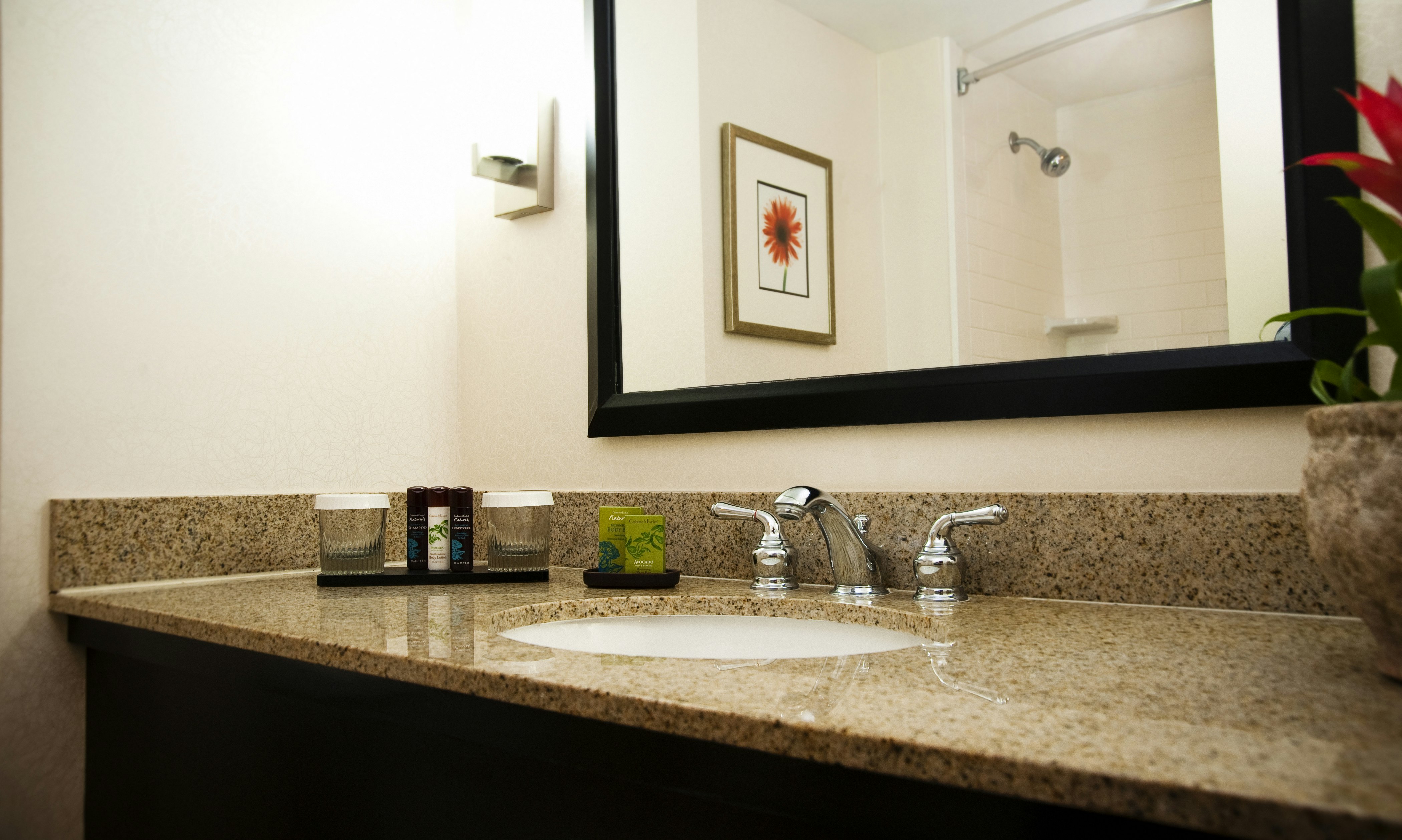 Embassy Suites by Hilton Memphis East Germantown Area 79/80