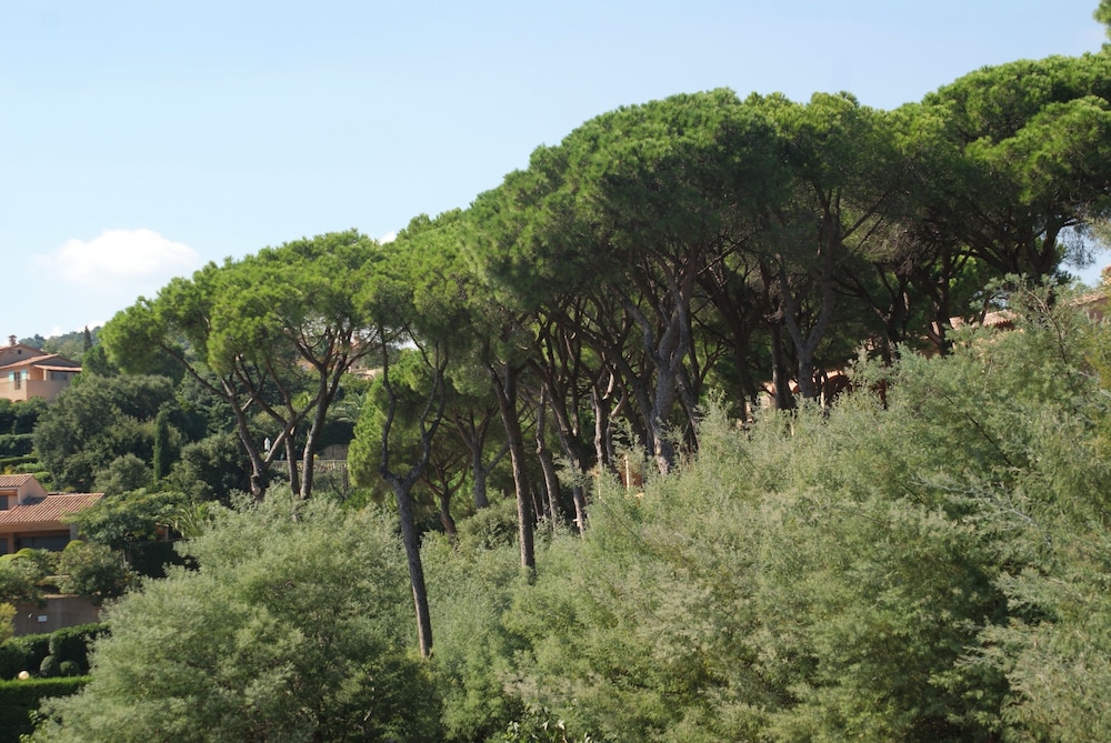 surroundings
