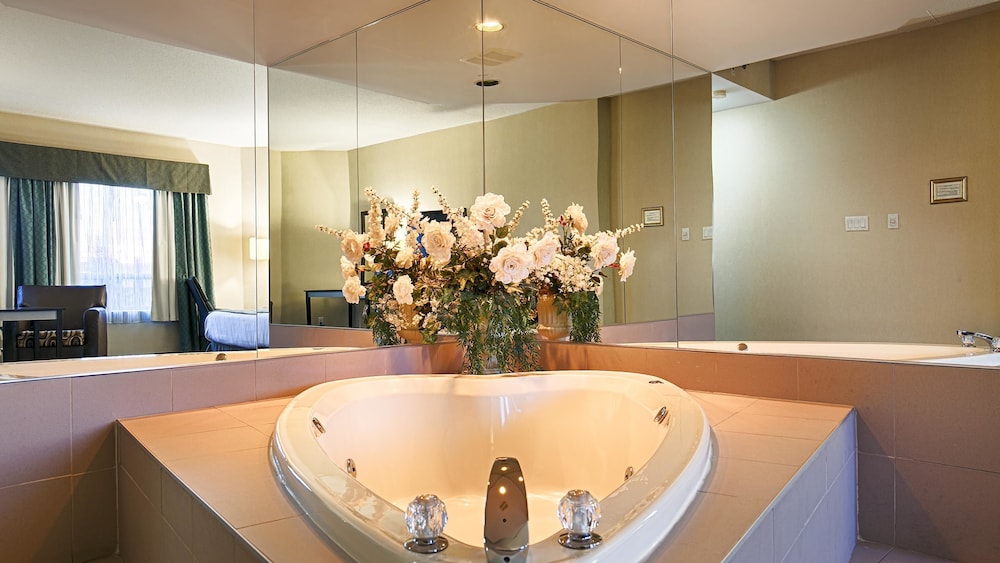 Best Western Plus Travel Hotel Toronto Airport 40/46