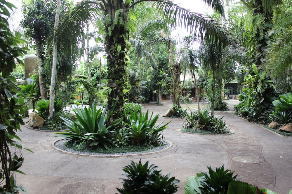 The Jungle Pots 38/50