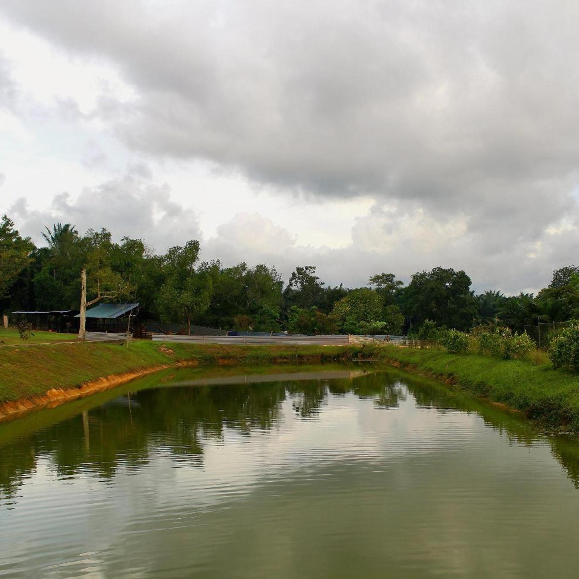 Savanna Hill Resort 12/17