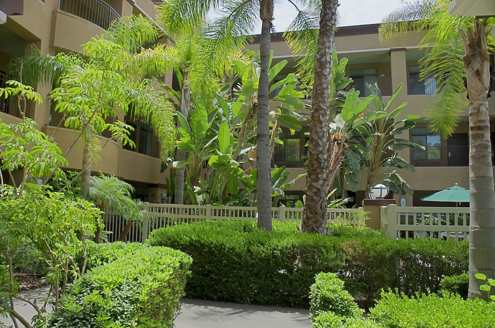 surroundings