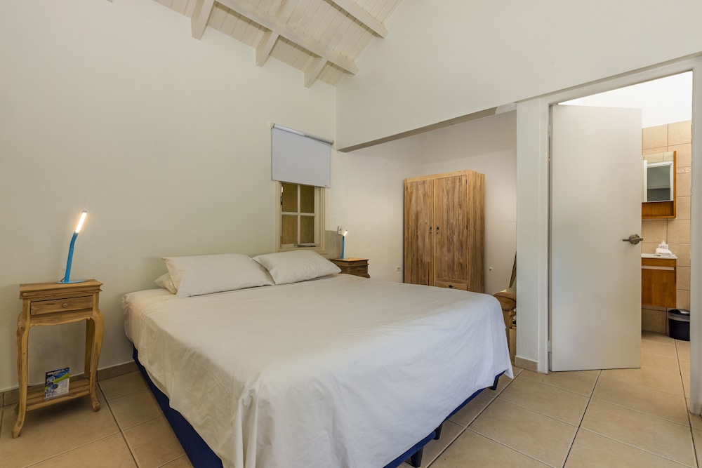 Modern Hotel Aruba 15/50