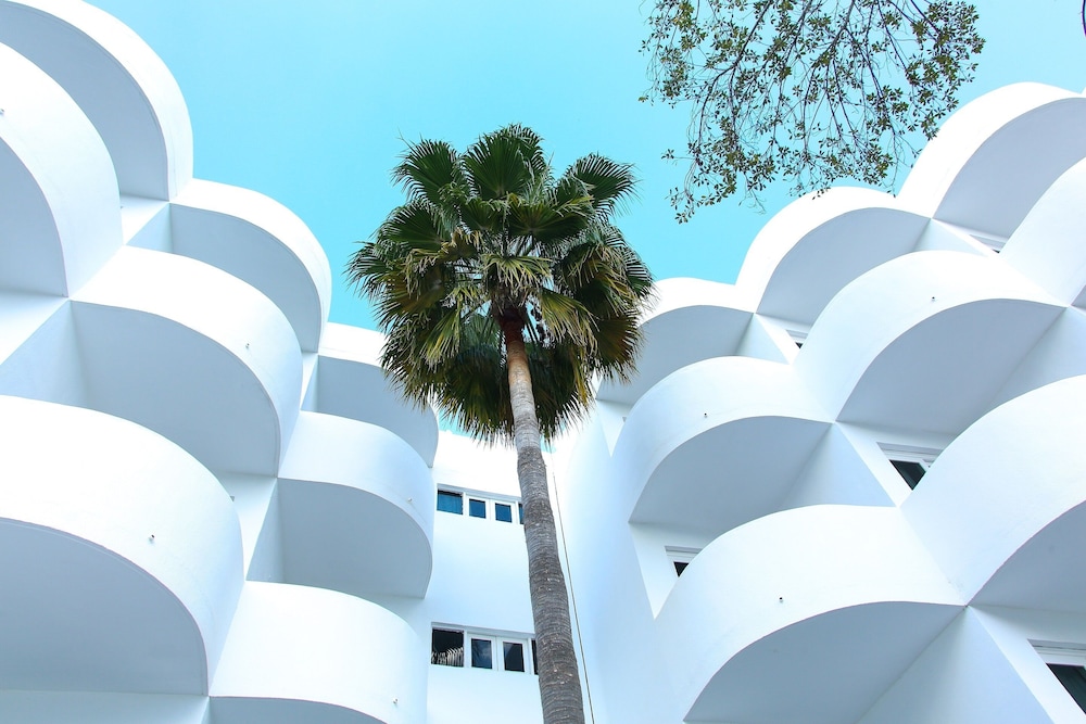 Sentido Fido Tucan - Adults Only 42/50
