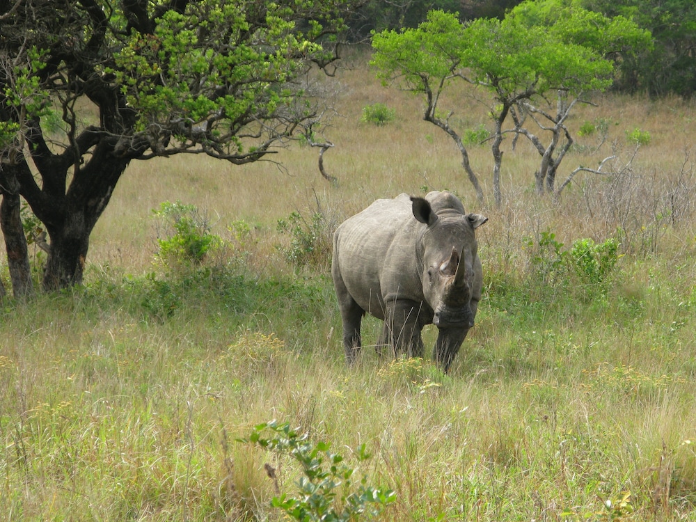 Rhino Coast Guest House 17/25