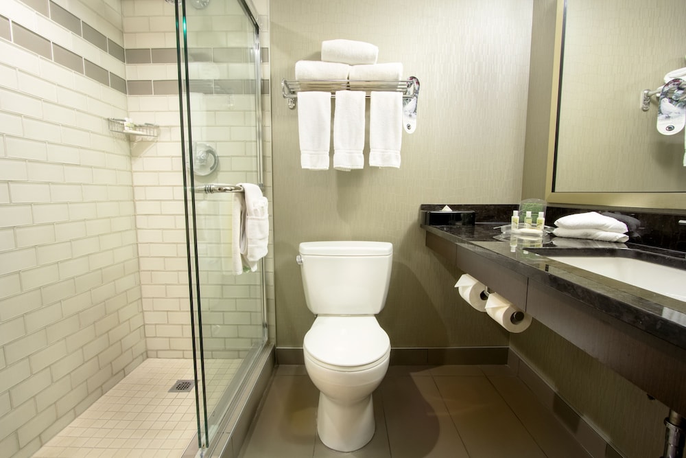 Holiday Inn Calgary- Airport 21/65
