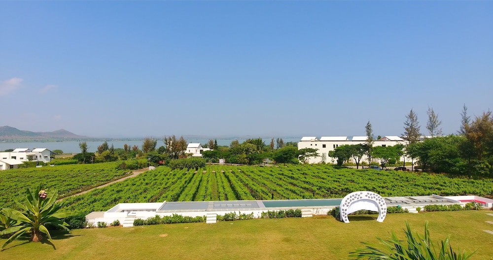 Regenta Resort Soma Vine Village 24/34