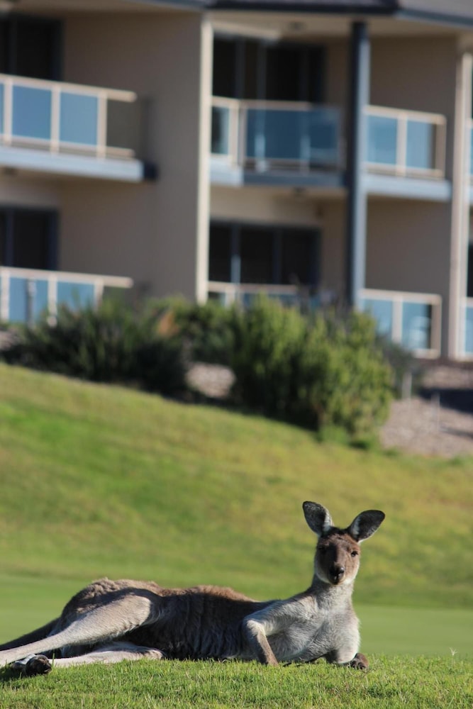 LINKS LADY BAY RESORT 28/61