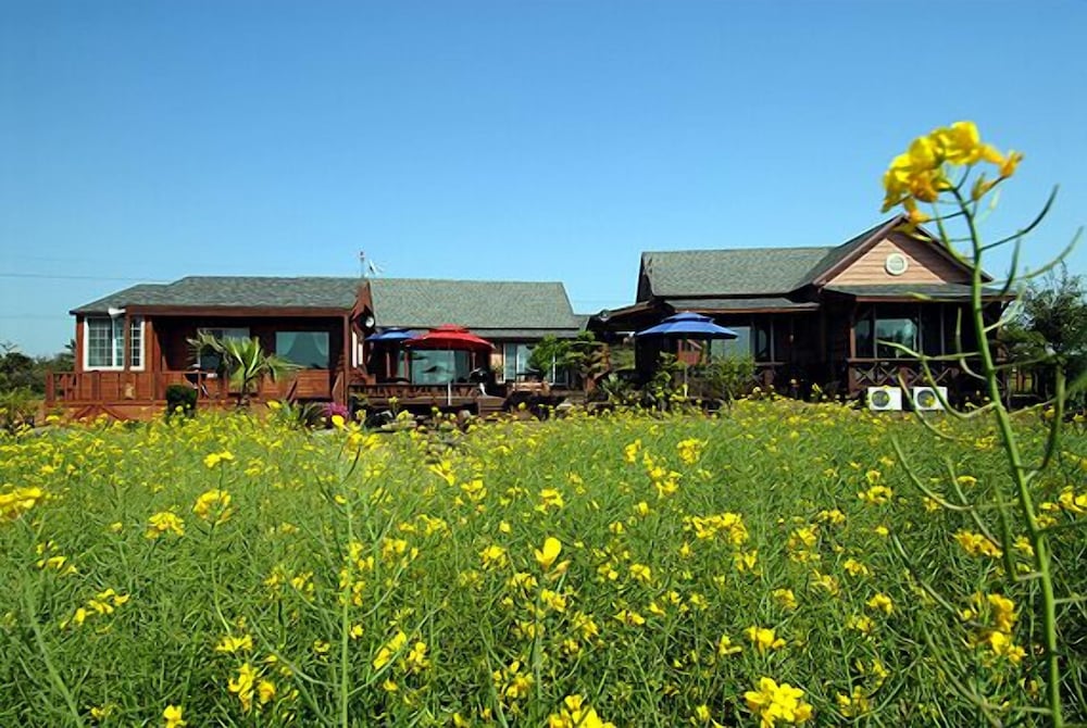 Ebbnsae Pension 26/34