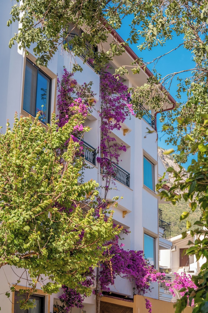 Payam Hotel 5/50