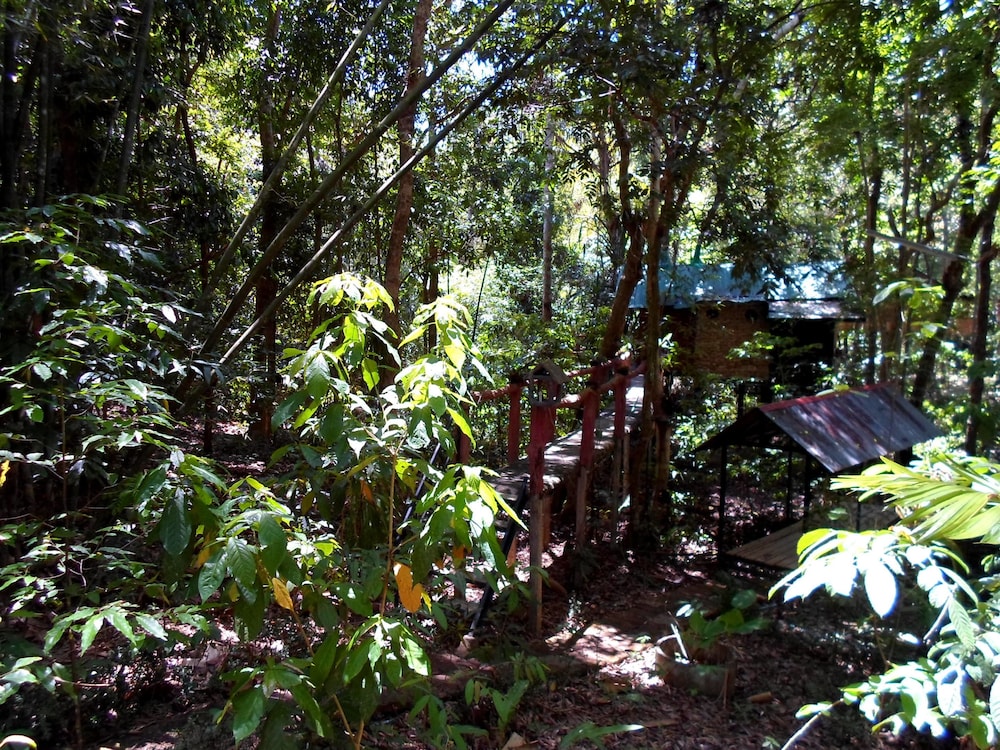 Khao Sok Tree House 35/50