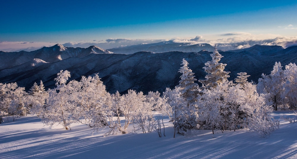 Okushiga Kogen 28/37