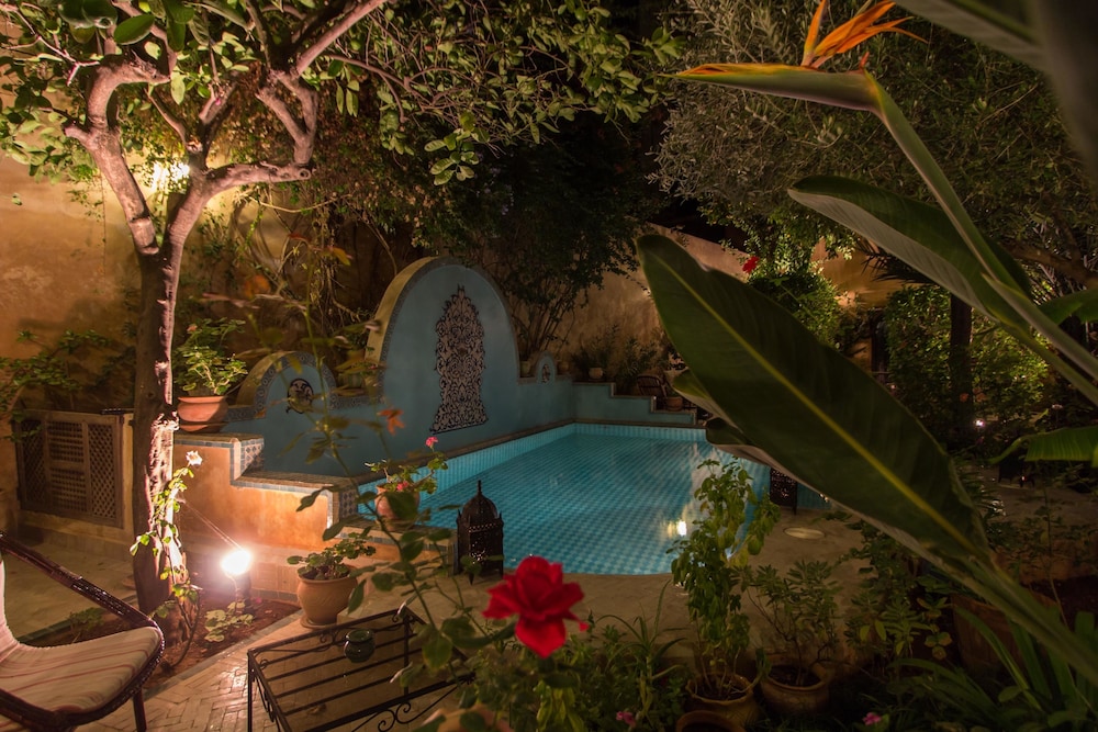 Riad Norma 42/50