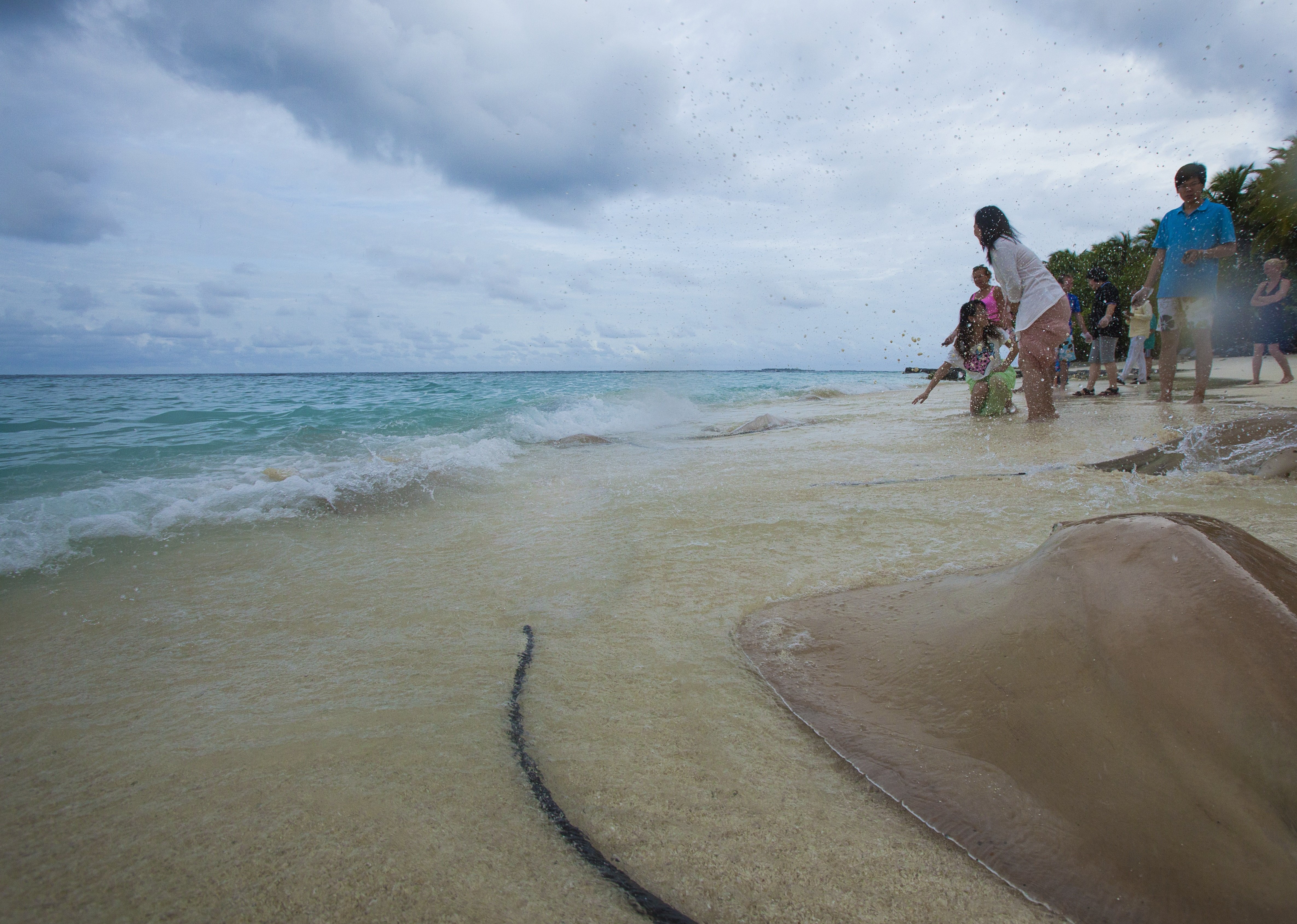 Taj Coral Reef Resort and Spa 81/85