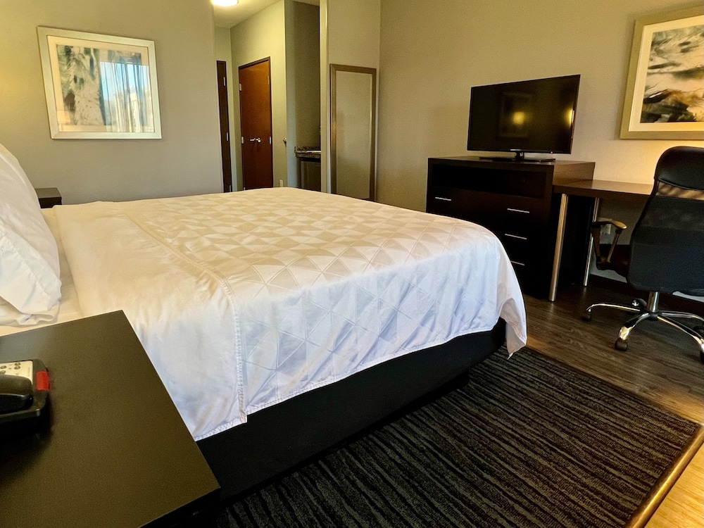 Holiday Inn Carlsbad 28/73