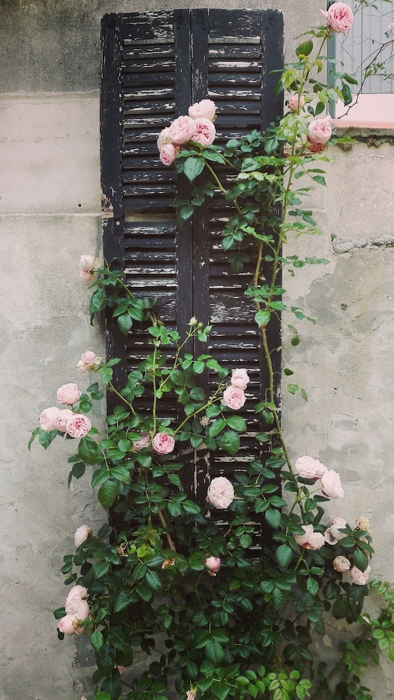 La Maison Douce 61/77