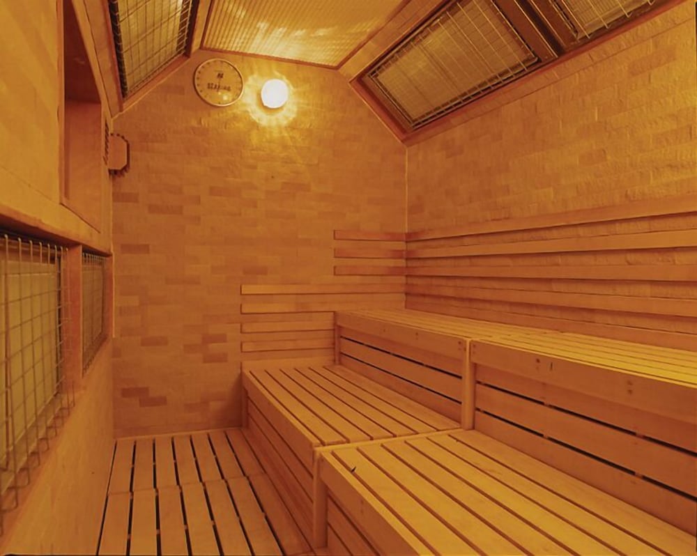 AKITA ONSEN SATOMI 10/33