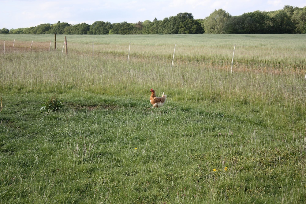 Manor Farm Bed & Breakfast 28/45