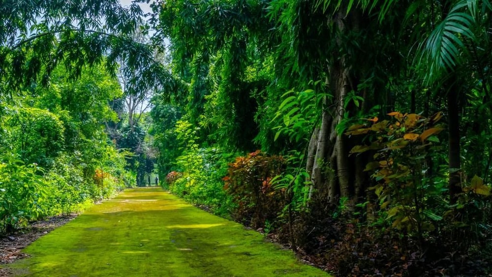 The Fern Sattva Resort Polo Forest 37/48