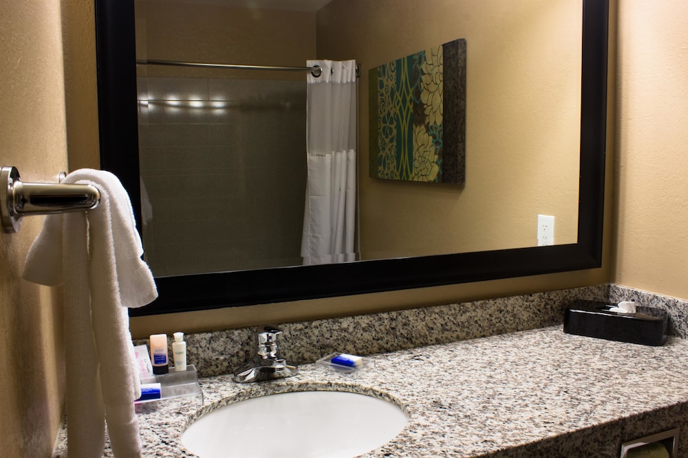 Best Western Plus Menomonie Inn & Suites 17/39