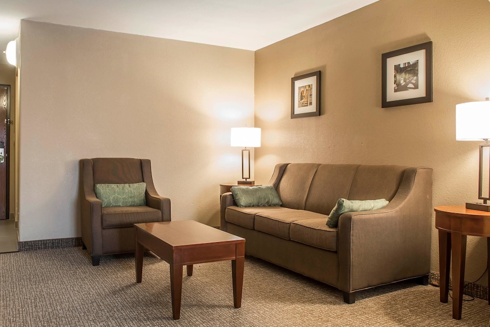 Comfort Inn Edinburg South Texas 25/46