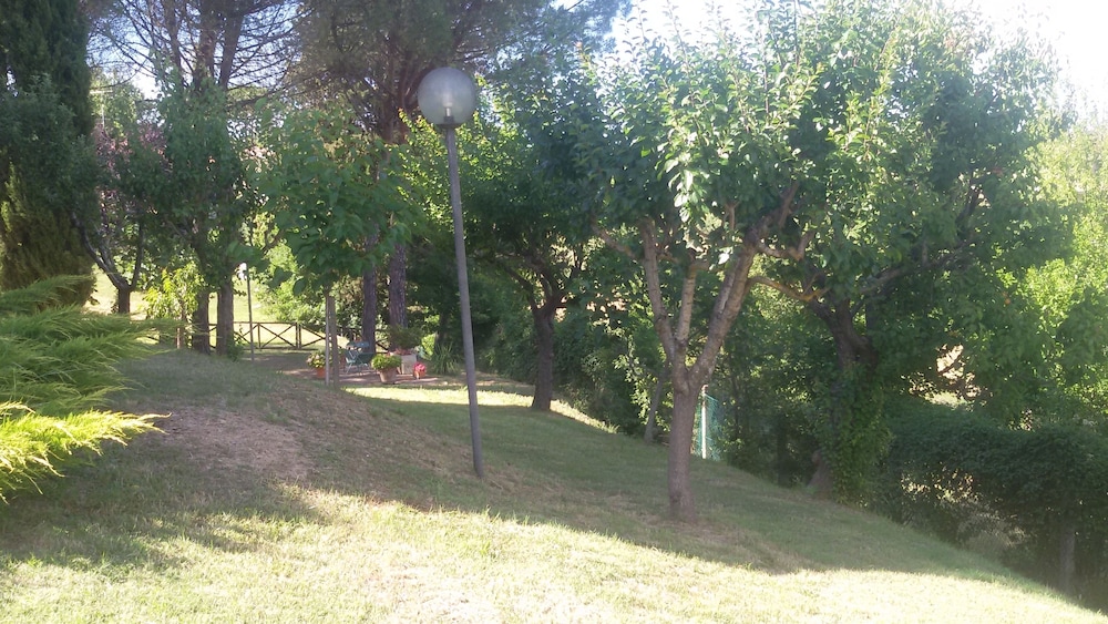 Primavera photo3
