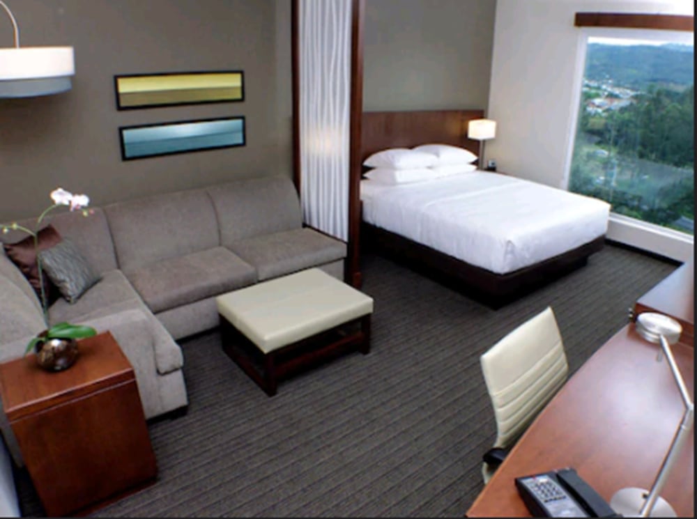 Hyatt Place San Jose/Pinares 16/64