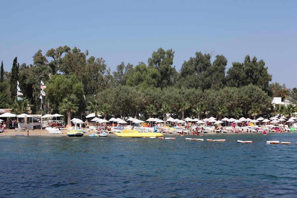 Okaliptus Otel 6/50