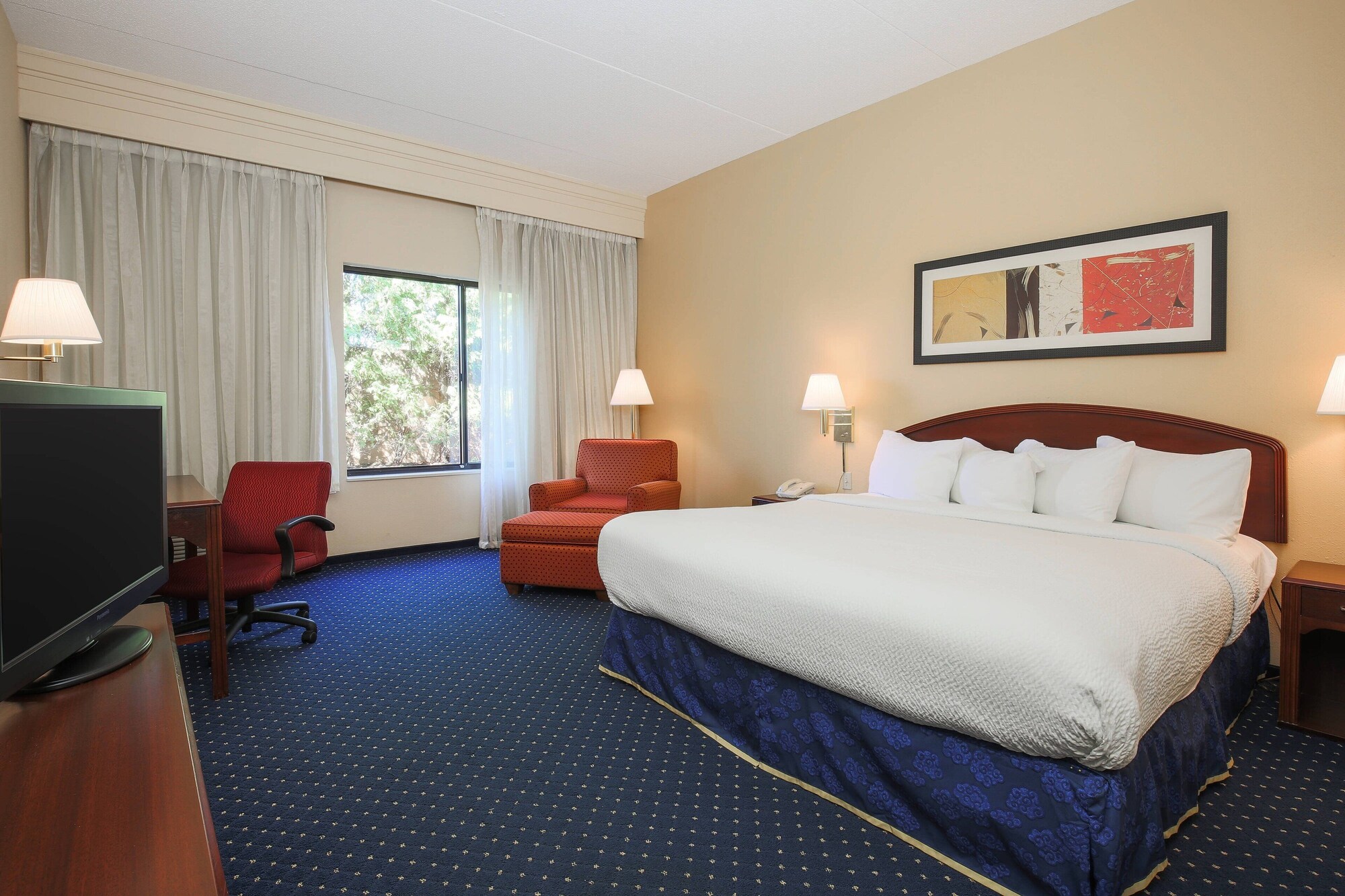 Room, King Bed, Sofa