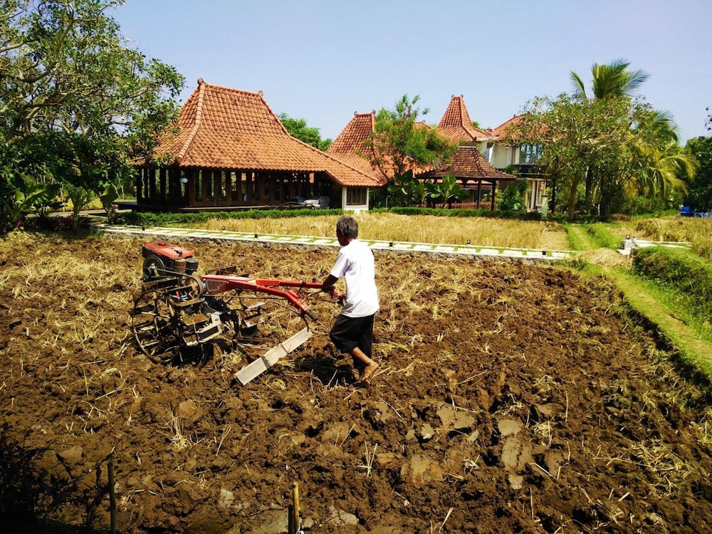 Java Village Resort 44/56
