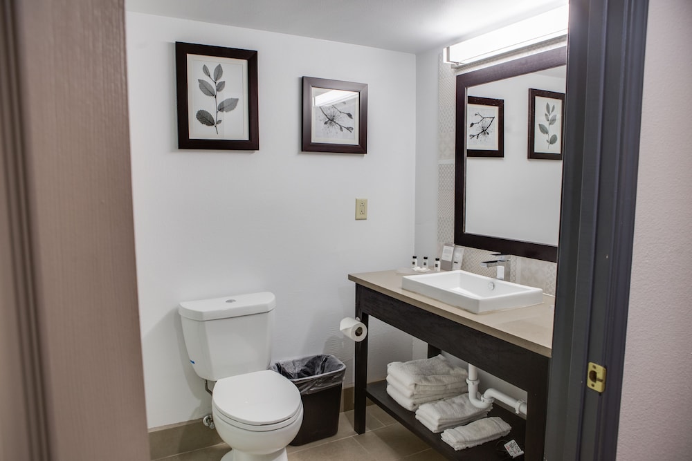 Country Inn & Suites by Radisson Harlingen, TX 66/67