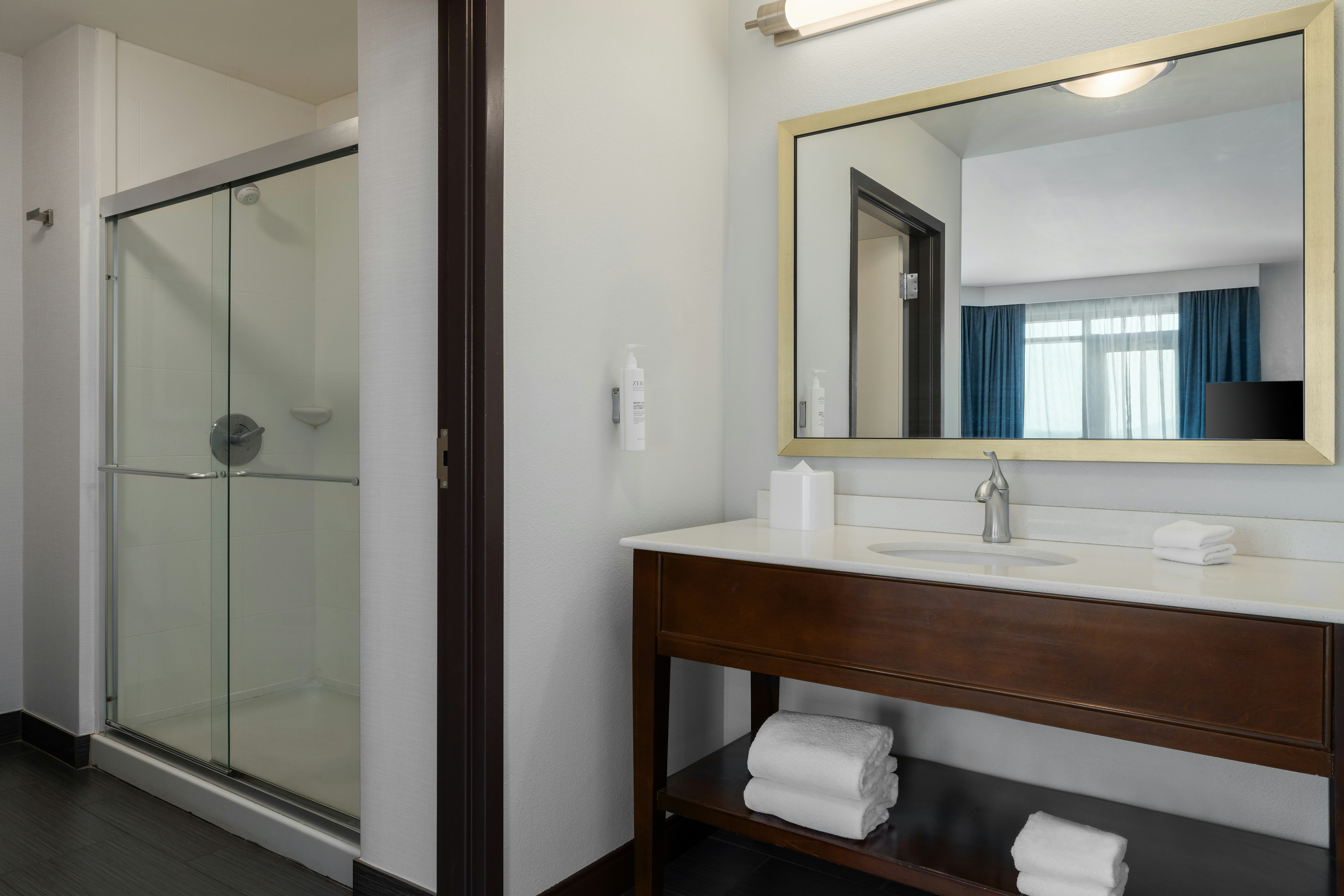 استوديو ركني بسرير كينج بإطلالة على الجبل، Hampton Inn And Suites Roanoke-Downtown 4/5