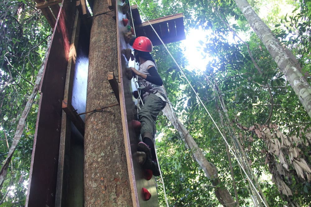 Belum Rainforest Resort 42/50
