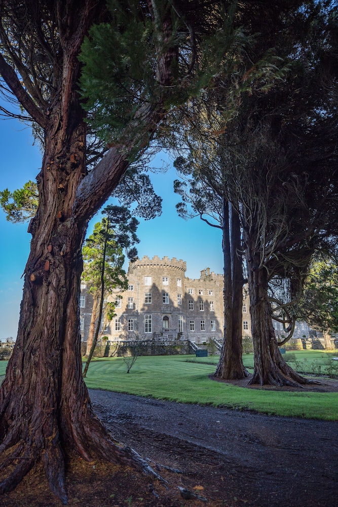 Markree Castle 39/46