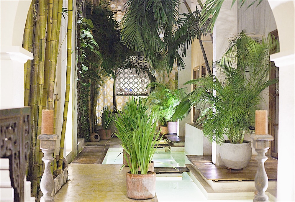 Hotel Casa Lola Deluxe Gallery 70/77