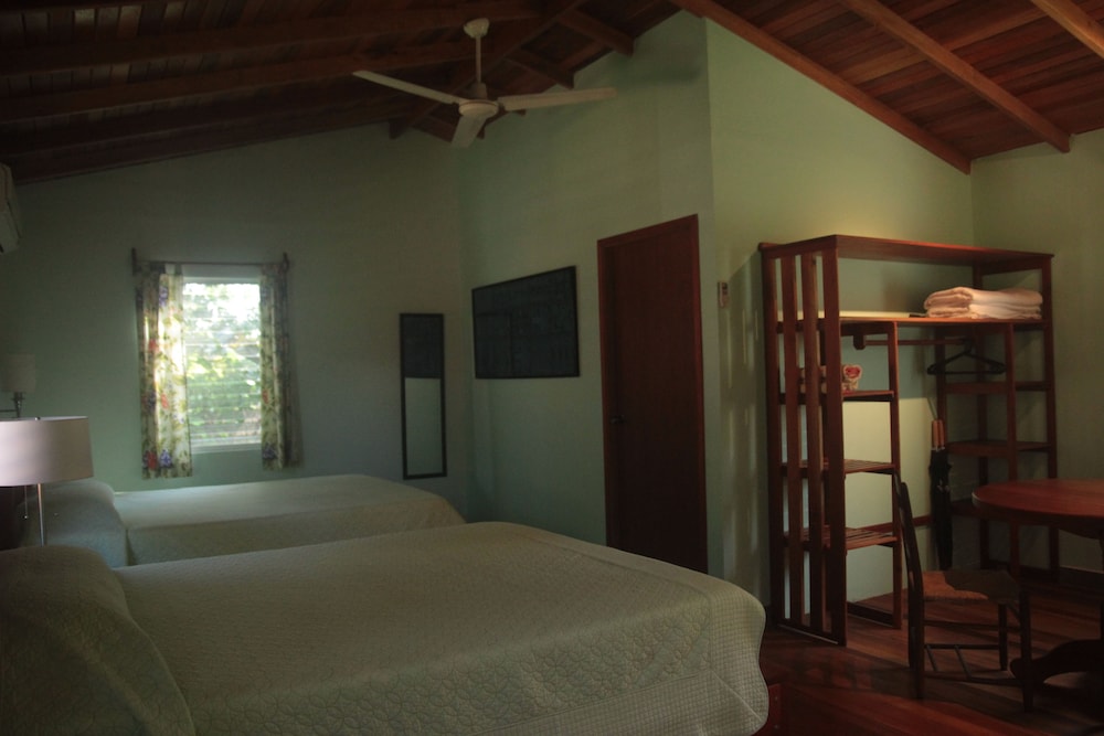 Tanager RainForest Lodge 21/64