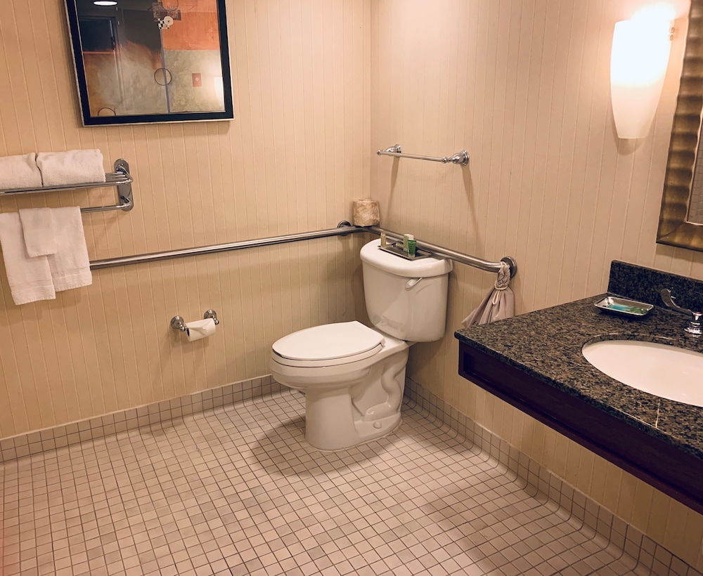 Ontario Airport Hotel And Conference Center 13/61